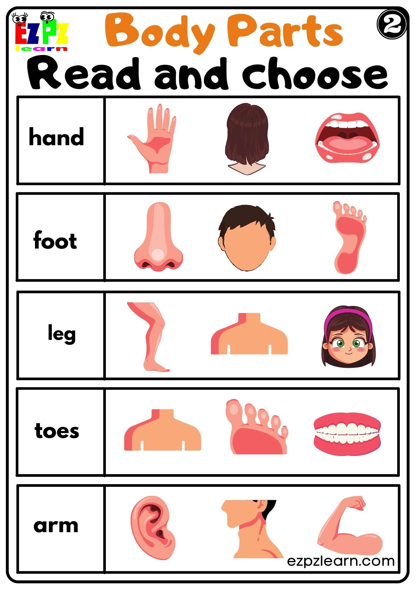 Body Parts Read and Choose Worksheets for Kids and ESL PDF Download set 2